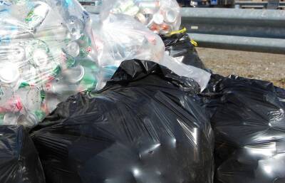 В России введут штрафы за мусор, выброшенный из машин