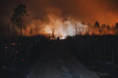 Забайкалье получило на тушение лесных пожаров на 30,6% больше денег, чем в 2021 году