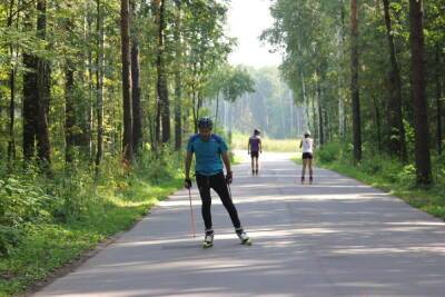 Во Владимире может появиться освещенная лыжероллерная трасса