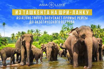 Asialuxe Travel запустил туры с прямыми рейсами на Шри-Ланку