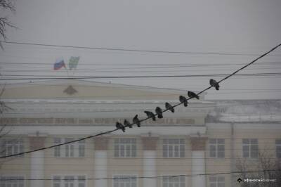 МЧС: в Тверской области усилится ветер