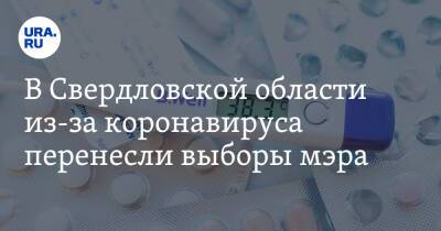 В Свердловской области из-за коронавируса перенесли выборы мэра