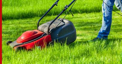 Трава у дома: 6 правил стрижки газона после зимы