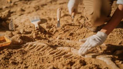 В Бразилии нашли останки «прадедушки» гигантских динозавров