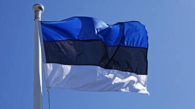 Служба разведки Эстонии: Россия будет готова к «вторжению» на Украину в конце февраля