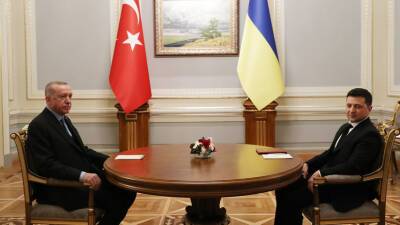Эрдоган предложит Путину провести трёхстороннюю встречу с ним и Зеленским в Турции