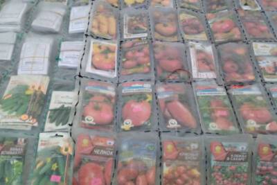 На рынке в Тверской области продавали семена, не разрешённые к использованию