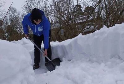 Волонтеры продолжают помогать ленинградцам в уборке территорий от снега