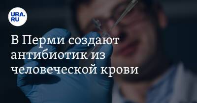 В Перми создают антибиотик из человеческой крови