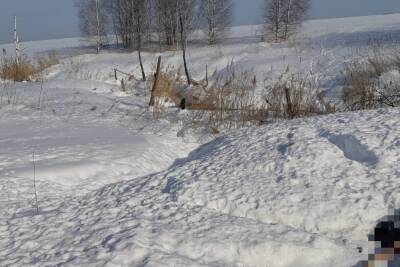 В Рязанской области обнаружили труп мужчины, объеденный лисами