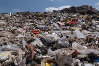 В Ленобласти хотят построить пять мусороперерабатывающих заводов почти за 7 млн рублей