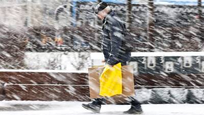 МЧС предупредило о сильном ветре и мокром снеге в Москве 17 февраля