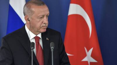 Президент Турции Эрдоган намерен обсудить с Путиным трехстороннюю встречу с Зеленским