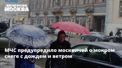 МЧС предупредило москвичей о мокром снеге с дождем и ветром