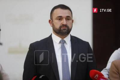 Оппозиция не поддержала «Мечту»: глава ЦИК Грузии избран на полгода