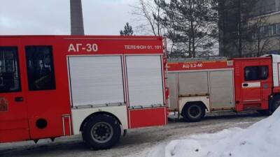 Три десятка спасателей тушат пожар в бизнес-центре на улице Одоевского в Петербурге