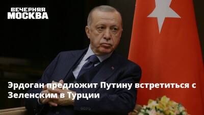 Эрдоган предложит Путину встретиться с Зеленским в Турции