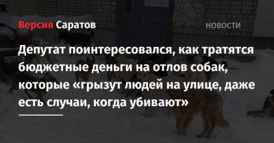 Депутат поинтересовался, как тратятся бюджетные деньги на отлов собак, которые «грызут людей на улице, даже есть случаи, когда убивают»