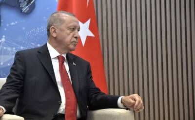 Эрдоган предложил свести Путина с Зеленским