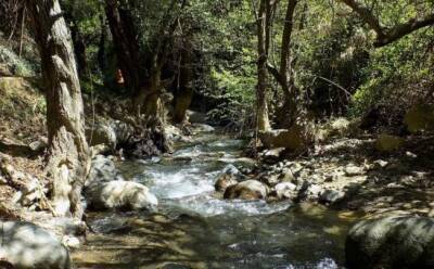 Кипрские реки – одни из самых чистых в Европе - vkcyprus.com - Англия - Кипр - штат Миссисипи - Яунде