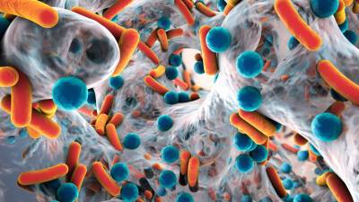 Предки бактерий научились проникать в чужие клетки 2 миллиарда лет назад
