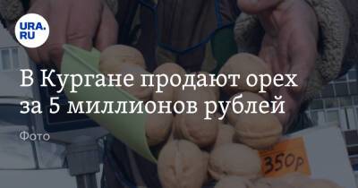 В Кургане продают орех за 5 миллионов рублей. Фото