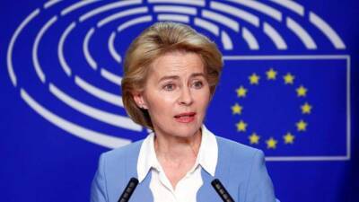 Евросоюз принял решение избавляться от российской «газовой иглы»