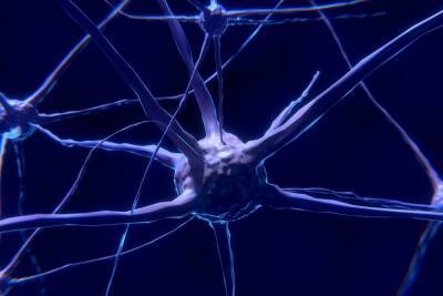 Исследование: у умерших пациентов COVID-19 обнаружили проблемы с мозгом — как при болезни Альцгеймера - itc.ua - Украина - Колумбия - Нью-Йорк - Джорджтаун