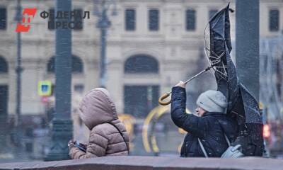 Циклон «Иления» обрушится на Москву ливнями и ветрами