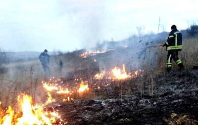 Масштабный пожар разгорелся в Одесской области, фото: уничтожено 1,5 гектара