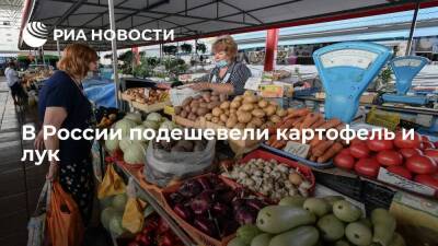 В России с 5 по 11 февраля цена на репчатый лук снизилась на 0,2%, на картофель — на 0,1%