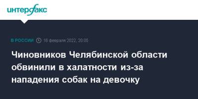 Чиновников Челябинской области обвинили в халатности из-за нападения собак на девочку