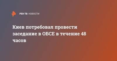 Киев потребовал провести заседание в ОБСЕ в течение 48 часов