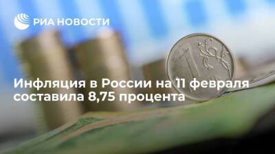 Инфляция в России на 11 февраля в годовом выражении составила 8,75 процента