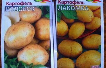 Режим Лукашенко занимается подделкой картофельных семян