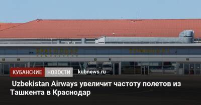 Uzbekistan Airways увеличит частоту полетов из Ташкента в Краснодар