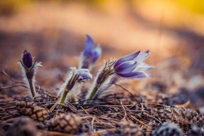 Март или апрель — когда ждать весны в Забайкалье?