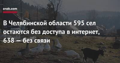 В Челябинской области 595 сел остаются без доступа в интернет, 638 — без связи