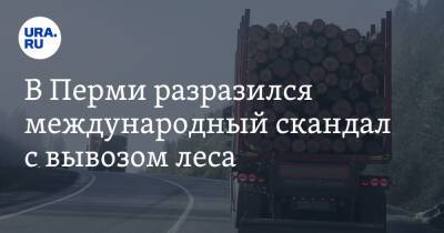 В Перми разразился международный скандал с вывозом леса