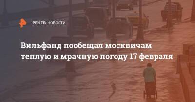 Вильфанд пообещал москвичам теплую и мрачную погоду 17 февраля