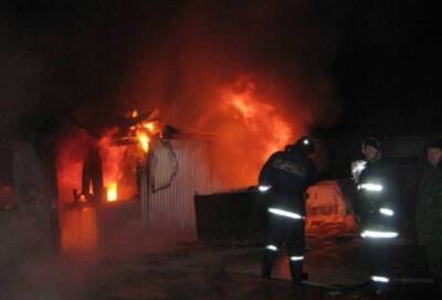 С начала года в Ленинградской области при пожарах погибли 18 человек