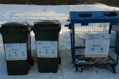 В Волхове установили 43 контейнера для раздельного сбора мусора