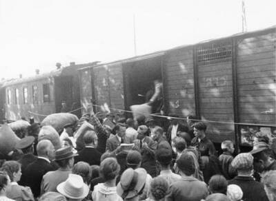 Зачем Сталин в 1950 году депортировал крестьян Псковской области в Сибирь - Русская семерка