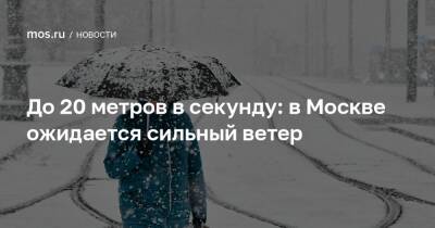 До 20 метров в секунду: в Москве ожидается сильный ветер - mos.ru - Москва