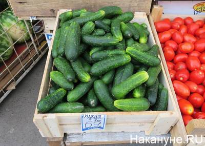 В январе в Свердловской области подорожали тепличные овощи