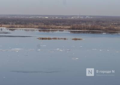 12 мостов может подтопить в Нижегородской области весной
