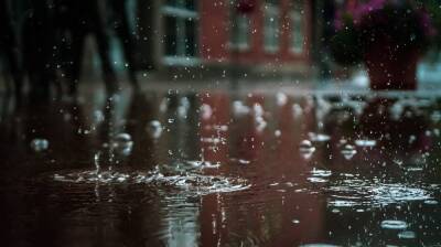 Синоптики спрогнозировали первый весенний дождь в Воронеже