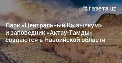 Парк «Центральный Кызылкум» и заповедник «Актау-Тамды» создаются в Навоийской области