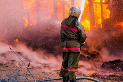 Пожарные тушили жилой дом в Волосово почти два часа ранним утром 17 февраля