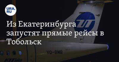 Из Екатеринбурга запустят прямые рейсы в Тобольск
